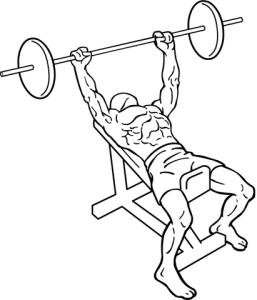 411px-Incline-bench-press-1