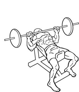 411px-Incline-bench-press-2