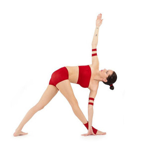 480px-Parivrtta-Trikonasana_Yoga-Asana_Nina-Mel