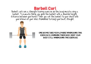 Barbell Curl