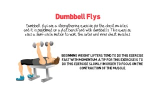 Dumbbell Flys