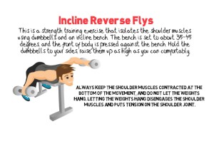 Incline Reverse Flys