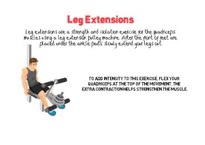 Leg Extensions