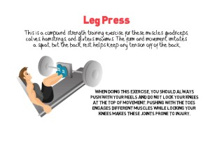 Leg Press