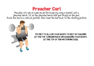 Preacher Curl