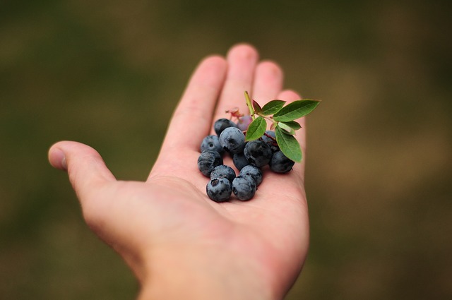 berries