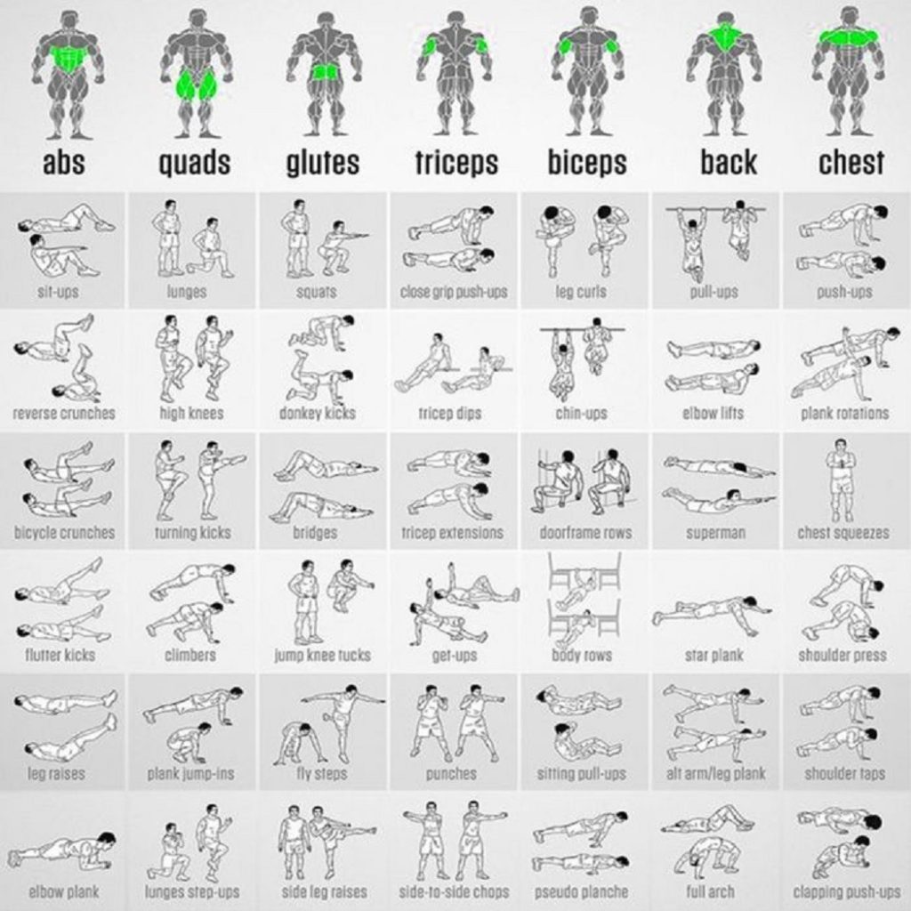 weight training for dummies